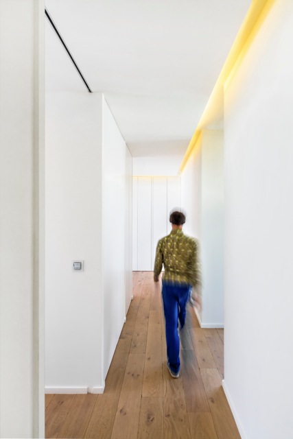 Logement privé Architecte NSL Architectes  Photographe Florent Joliot
